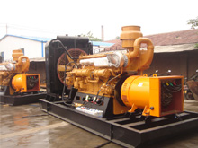 海陵发电机组的频率规格是如何确定的？